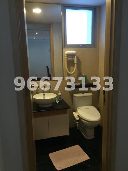 Cairnhill Crest (D9), Condominium #117874752